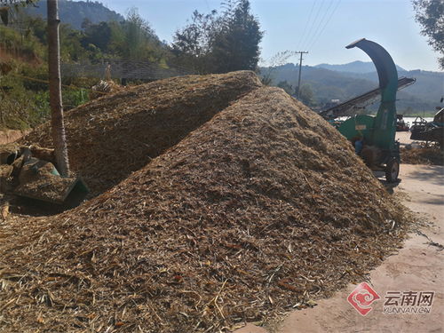云南江城 农作物秸秆综合利用率达90 以上