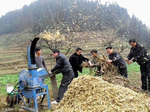 专家建议 秸秆还田 ,禁烧秸杆后农民的实在话,你怎么看